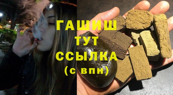сатива Покачи
