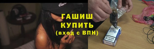 индика Абаза