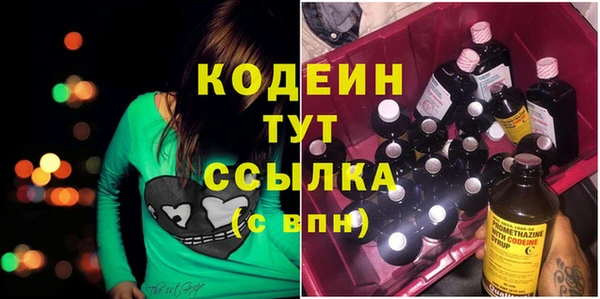 сатива Покачи