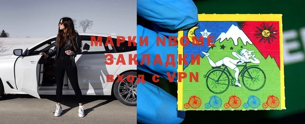 сатива Покачи