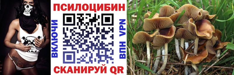 как найти наркотики  мега ссылки  Галлюциногенные грибы GOLDEN TEACHER  Весьегонск 
